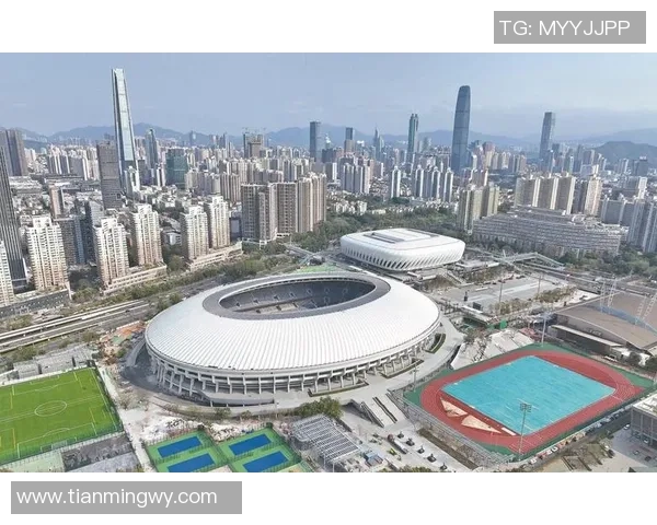 中国汉族足球明星全景盘点及其辉煌成就回顾