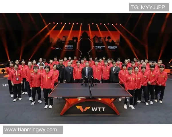 南京乒乓球队引领风潮最新乒乓球意识TOP10榜单揭晓