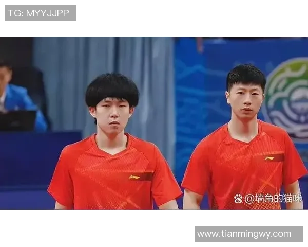 乒乓球深度解析北京乒乓球队反击战术与训练秘诀