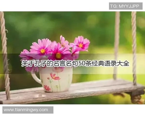 足球巨星智慧结晶:激励人心的名言与经典语录分享