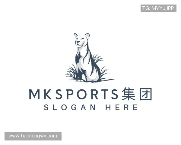 介绍mk体育